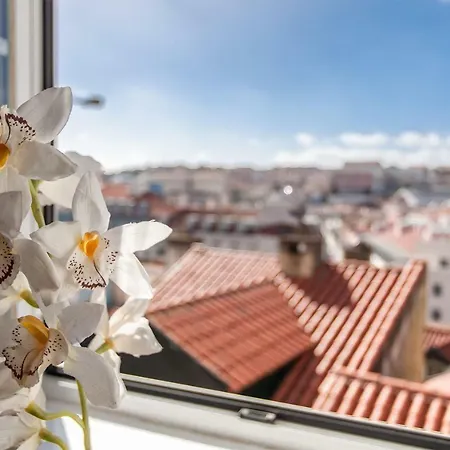 Apartment Sunny Mouraria